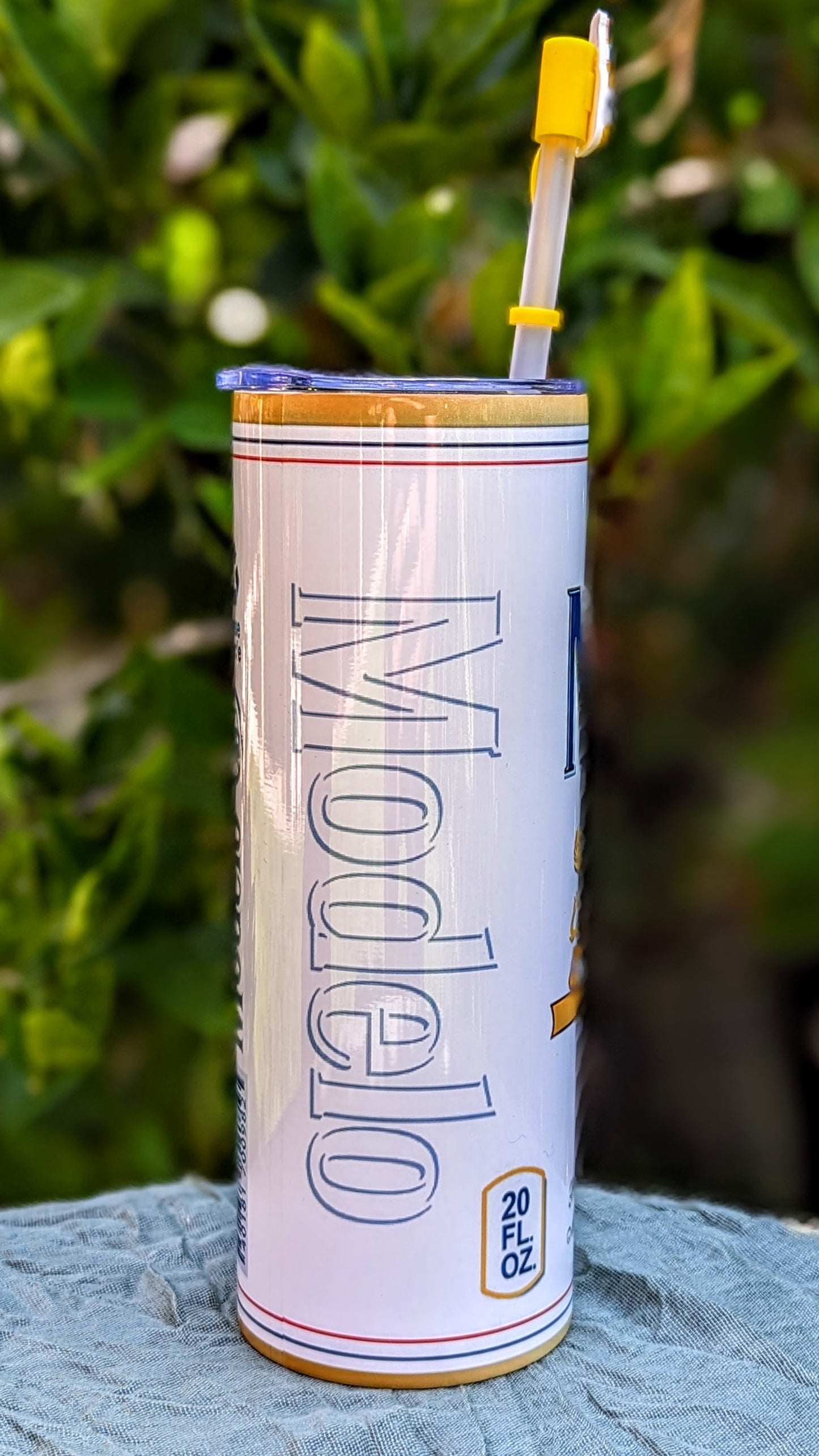 Modelo 20oz Tumbler with straw topper